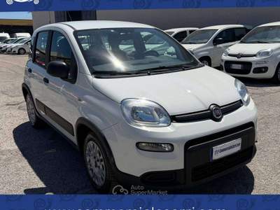 Fiat Panda VAN 1.0 HYBRID 4 POSTI STREET - 2022 Bianco usata Corato
