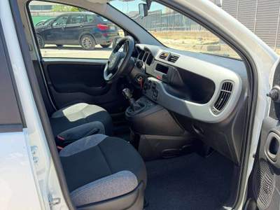 Fiat Panda VAN 1.0 HYBRID 4 POSTI STREET - 2022 Bianco usata Corato