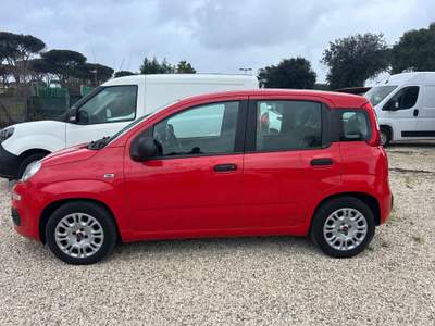 Fiat Panda Panda 1.0 FireFly S&S Hybrid Rosso usata Roma