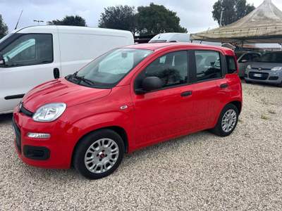 Fiat Panda Panda 1.0 FireFly S&S Hybrid Rosso usata Roma