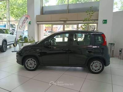 Fiat Panda Panda III 2021 1.0 firefly hybrid s Nero usata Torino