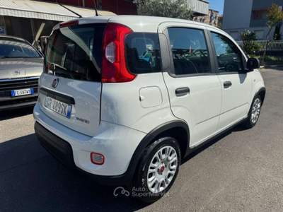 Fiat Panda 1.0 FireFly S&S Hybrid Bianco usata Milano