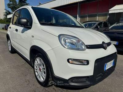 Fiat Panda 1.0 FireFly S&S Hybrid Bianco usata Milano