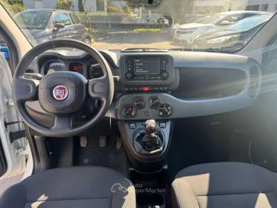 Fiat Panda 1.0 FireFly S&S Hybrid Bianco usata Milano