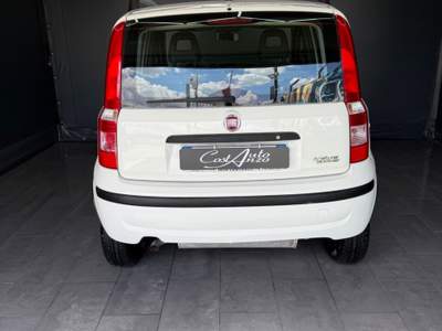 Fiat Panda Benzina/metano 12/2012 Bianco usata Teverola