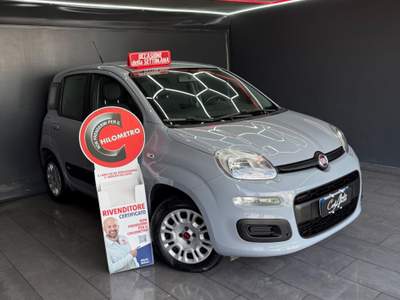 Fiat Panda Benzina Lounge 12/2018 Grigio usata Teverola