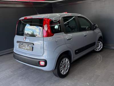 Fiat Panda Benzina Lounge 12/2018 Grigio usata Teverola