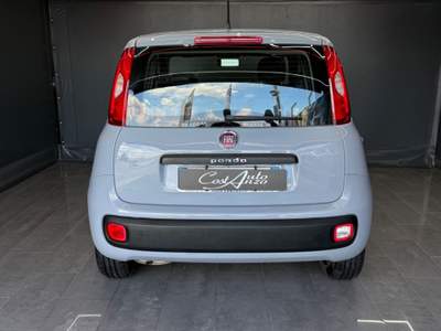 Fiat Panda Benzina Lounge 12/2018 Grigio usata Teverola