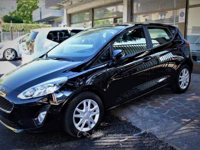 Ford Fiesta Active 1.0 Ecoboost 100 CV Nero usata Lavis