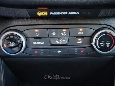 Ford Fiesta Active 1.0 Ecoboost 100 CV Nero usata Lavis