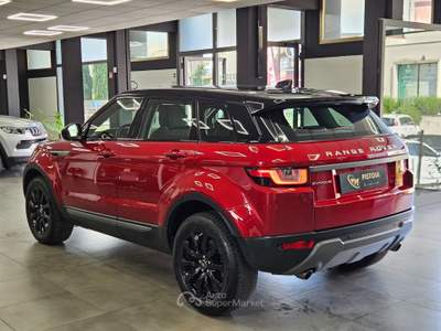 Land Rover Range Rover Evoque Land Rover Range Evoque 2.0 TD4 150 CV Business Edition Pure Rosso usata Pistoia