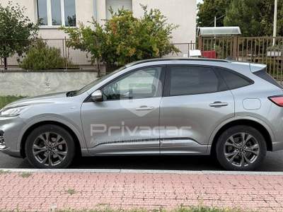 Ford Kuga FORD Kuga 2.0 EcoBlue Hybrid 150 CV 2WD ST-Line Grigio usata Cuneo
