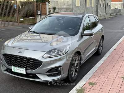 Ford Kuga FORD Kuga 2.0 EcoBlue Hybrid 150 CV 2WD ST-Line Grigio usata Cuneo