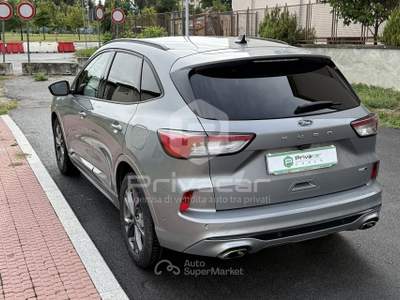 Ford Kuga FORD Kuga 2.0 EcoBlue Hybrid 150 CV 2WD ST-Line Grigio usata Cuneo