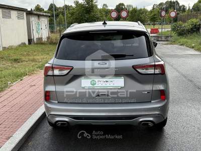 Ford Kuga FORD Kuga 2.0 EcoBlue Hybrid 150 CV 2WD ST-Line Grigio usata Cuneo