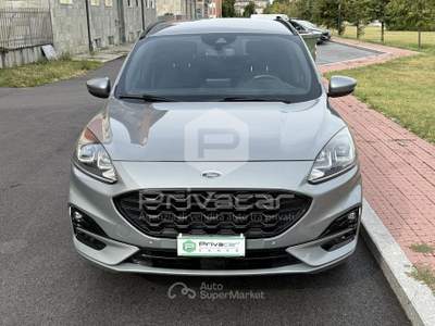 Ford Kuga FORD Kuga 2.0 EcoBlue Hybrid 150 CV 2WD ST-Line Grigio usata Cuneo