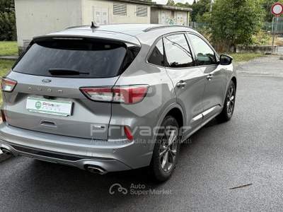 Ford Kuga FORD Kuga 2.0 EcoBlue Hybrid 150 CV 2WD ST-Line Grigio usata Cuneo