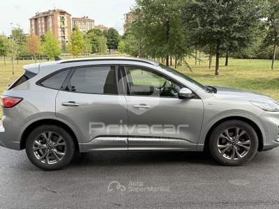 Ford Kuga FORD Kuga 2.0 EcoBlue Hybrid 150 CV 2WD ST-Line Grigio usata Cuneo