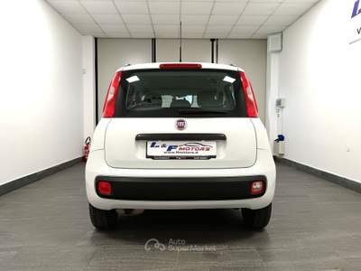 Fiat Panda 1.2 69cv E6 GPL Bianco usata Giugliano in Campania
