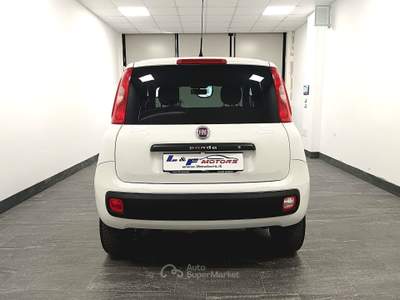 Fiat Panda Panda 1.3 MJT  4x4 Bianco usata Giugliano in Campania