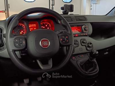 Fiat Panda Panda Cross 1.0 FireFly S&S Hybrid Grigio usata Giugliano in Campania