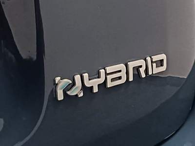 Fiat Panda Panda Cross 1.0 FireFly S&S Hybrid Grigio usata Giugliano in Campania