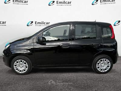 Fiat Panda 1.0 FireFly Hybrid Icon Nero usata SAN BENEDETTO DEL TRONTO