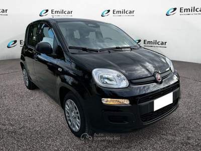 Fiat Panda 1.0 FireFly Hybrid Icon Nero usata SAN BENEDETTO DEL TRONTO