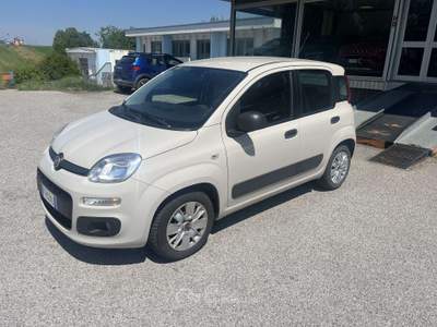 Fiat Panda 1.2 Easy 69cv E6 usata BONDENO