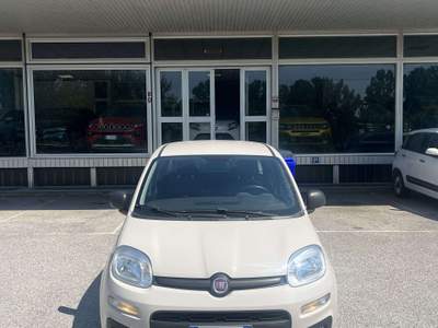Fiat Panda 1.2 Easy 69cv E6 usata BONDENO