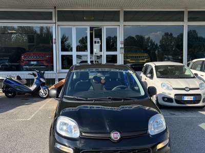 Fiat Panda 1.2 Easy 69cv usata BONDENO
