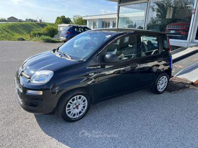 Fiat Panda 1.2 Easy 69cv usata BONDENO