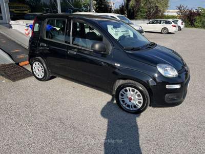 Fiat Panda 1.2 Easy 69cv usata BONDENO