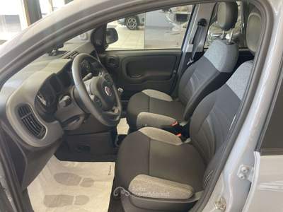 Fiat Panda 69cv Grigio usata COLOGNO MONZESE