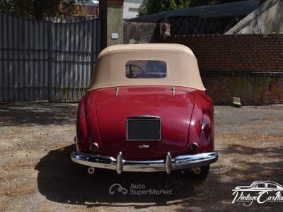 Fiat 1100 E Stella Alpina Monviso Lilla usata Ferrara