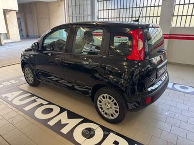 Fiat Panda Pandina 1.0 FireFly 65 CV Hybrid Icon Nero usata Torino