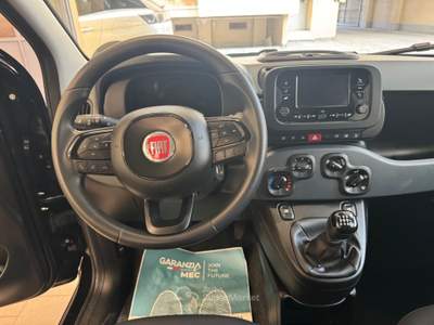 Fiat Panda Pandina 1.0 FireFly 65 CV Hybrid Icon Nero usata Torino