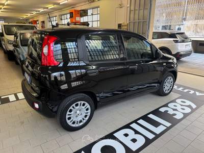 Fiat Panda Pandina 1.0 FireFly 65 CV Hybrid Icon Nero usata Torino