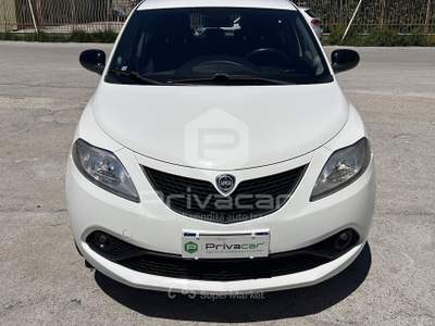 Lancia Ypsilon LANCIA Ypsilon 1.2 69 CV 5 porte GPL Ecochic Gold Bianco usata Montesilvano