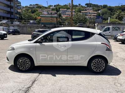 Lancia Ypsilon LANCIA Ypsilon 1.2 69 CV 5 porte GPL Ecochic Gold Bianco usata Montesilvano