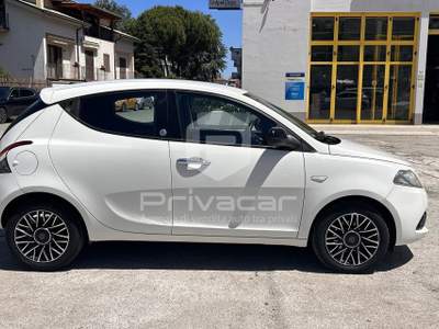 Lancia Ypsilon LANCIA Ypsilon 1.2 69 CV 5 porte GPL Ecochic Gold Bianco usata Montesilvano