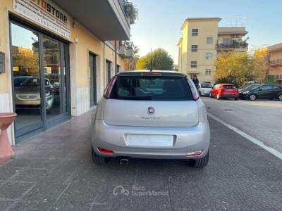 Fiat Punto Punto 5p 1.3 mjt II 16v Street eco s Argento usata Aprilia