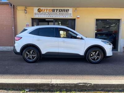 Ford Kuga Kuga 2.0 ecoblue Titanium Business awd 190cv auto Bianco usata Aprilia