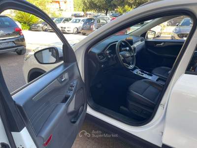 Ford Kuga Kuga 2.0 ecoblue Titanium Business awd 190cv auto Bianco usata Aprilia
