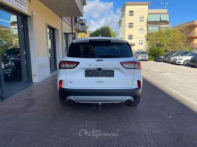Ford Kuga Kuga 2.0 ecoblue Titanium Business awd 190cv auto Bianco usata Aprilia