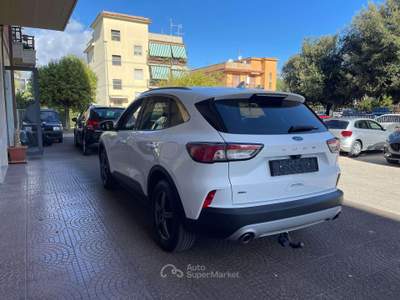 Ford Kuga Kuga 2.0 ecoblue Titanium Business awd 190cv auto Bianco usata Aprilia