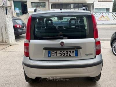 Fiat Panda Natural Power Dinamic cv 77 taglian Grigio usata Termoli