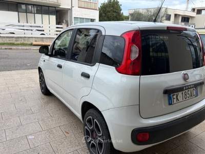 Fiat Panda S&S Pop Van 2 posti anno 05/201 Bianco usata Termoli
