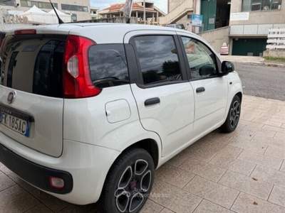 Fiat Panda S&S Pop Van 2 posti anno 05/201 Bianco usata Termoli