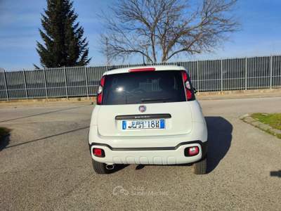 Fiat Panda 2021 4x4 0.9 t.air t. Wild 4x4 Bianco usata Coazze